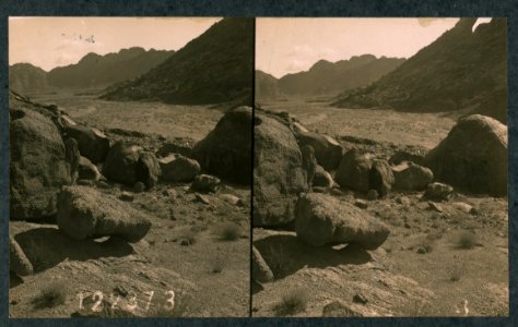 Wady esh Shehk - The broad passage through which the Israelites must have made their way towards the Promised Land after they received the Ten Commandments at the foot of Mt. Sinai LCCN2004672851