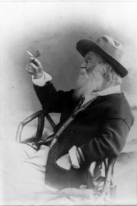Walt Whitman, half-length portrait, seated, facing left, wearing hat and sweater, holding butterfly LCCN00650593