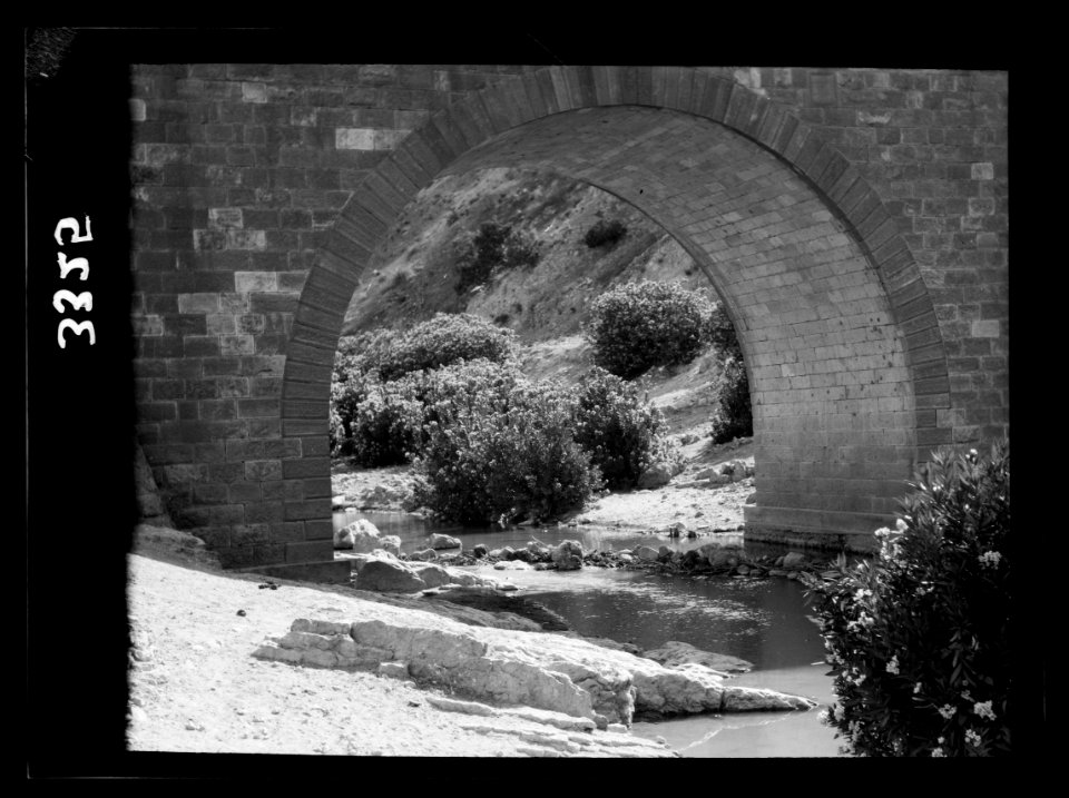Wady Sha'ib Es-Salt, Amman, etc. Wady Sha'ib bridge. The brook with nature garden of blooming oleanders LOC matpc.15295