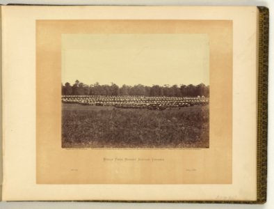 Wagon park, Brandy Station, Virginia - negative by T.H. O'Sullivan, positive by A. Gardner. LCCN2007682523