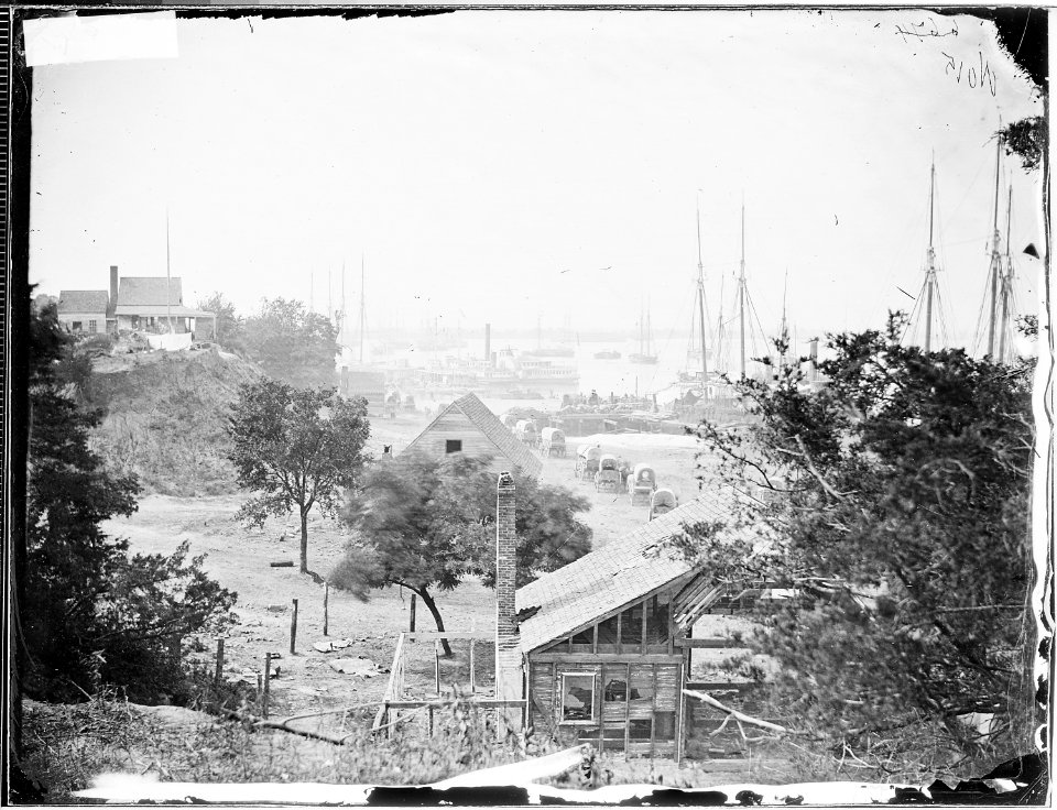Wagons at wharf - NARA - 530051