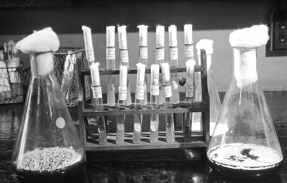Waksman laboratory