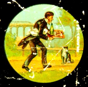 Waiter with cat and dog accident, Image 1