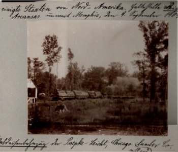 Waldeisenbahnzug der Paepcke-Leicht, Chicago Mill and Lumber Co., Vereinigte Staaten von Nord-Amerika. Big Lake, Arkansas unweit Memphis, den 9. September 1904
