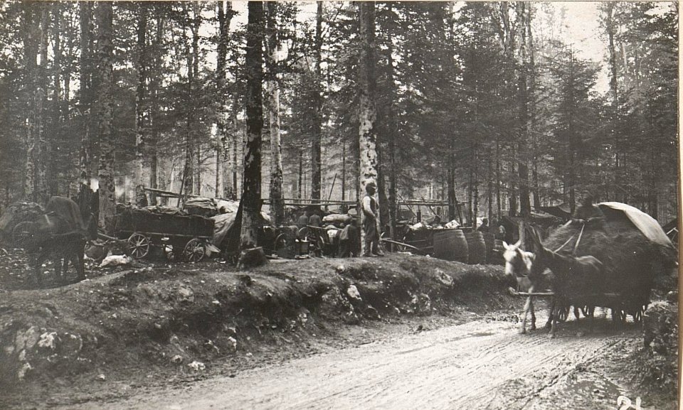 Waldlager bei Nemci.27.8.17 (BildID 15599436)