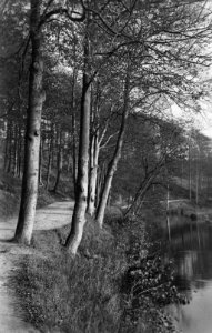 Waldweg an der Schwentine (Kiel 70.283)