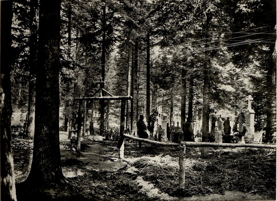 Waldfriedhof am Cost alta. Aufgenommen im Mai 1916. (BildID 15535708)