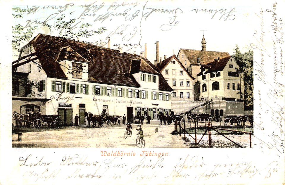 Waldhörnle Tübingen (AK 19365 Gebr. Metz 1903 TPk200)