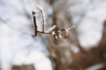 Snow tree wedding rings