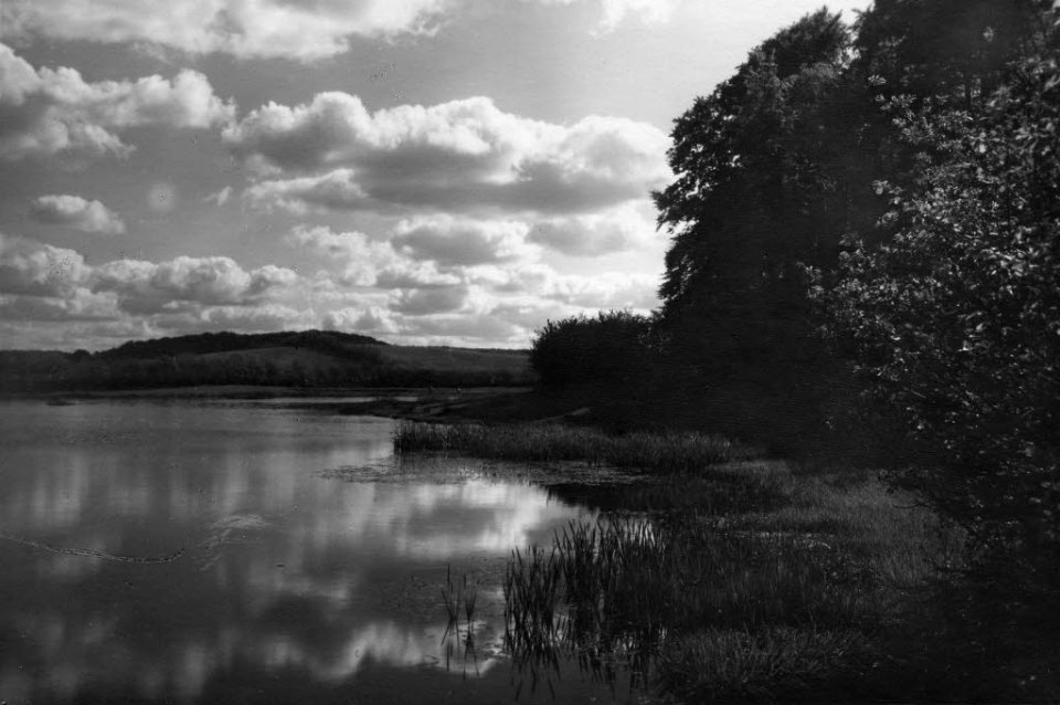 Waldteich am Rönner Gehege (Kiel 70.302)