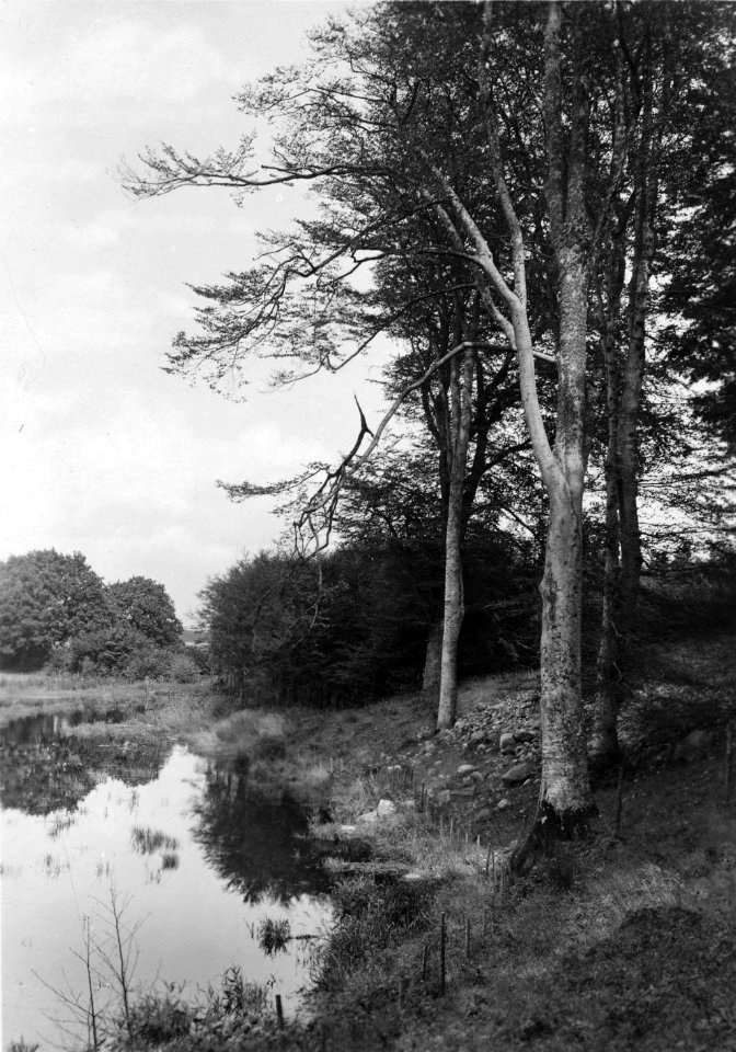 Waldteich bei Sande am Stocksee (Kiel 70.246)