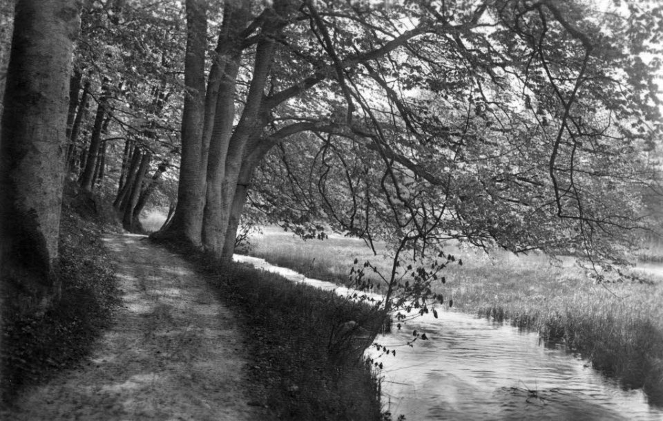 Waldweg an der Schwentine bei Rastorf (Kiel 70.282)