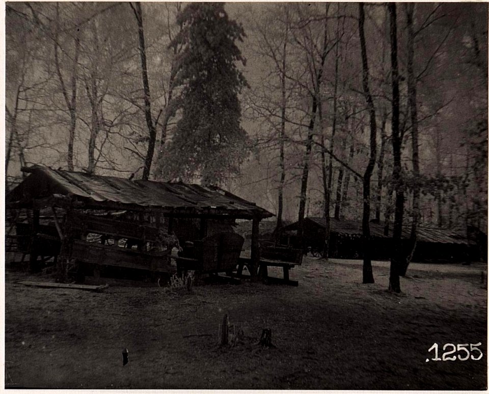 Waldlager, Protzen bei der Schmiede. 12.reit.Sch.Div. (5-II.1918.) (BildID 15711904)