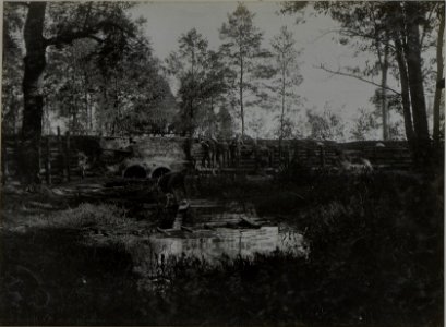 Waldbahnstellung des IR.84 (BildID 15446026)