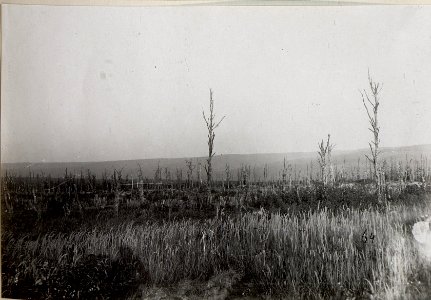 Waldruinen am Obczyna (BildID 15653901)