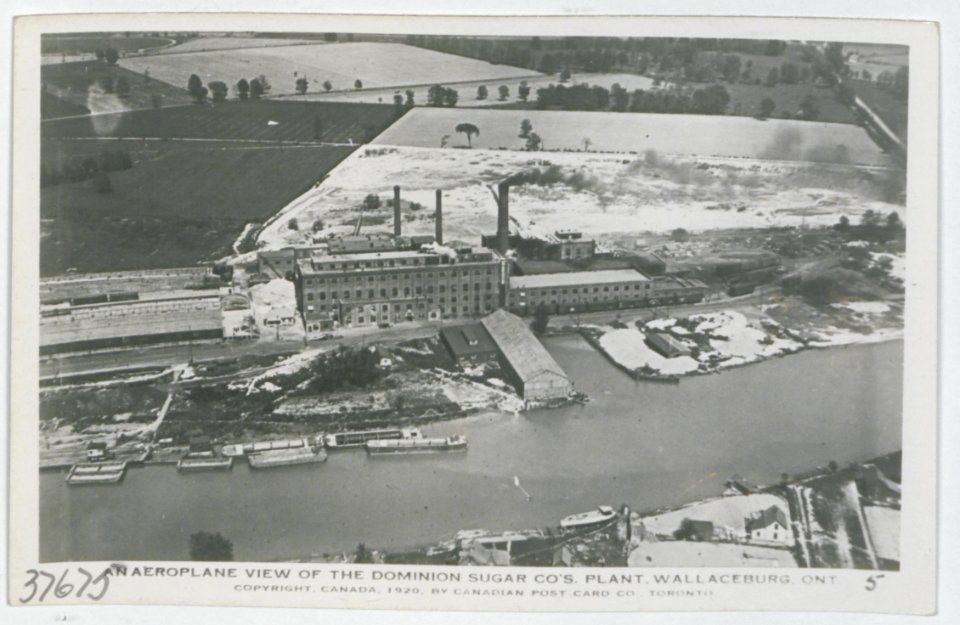 Wallaceburg Ontario from an Aeroplane (HS85-10-37675) original