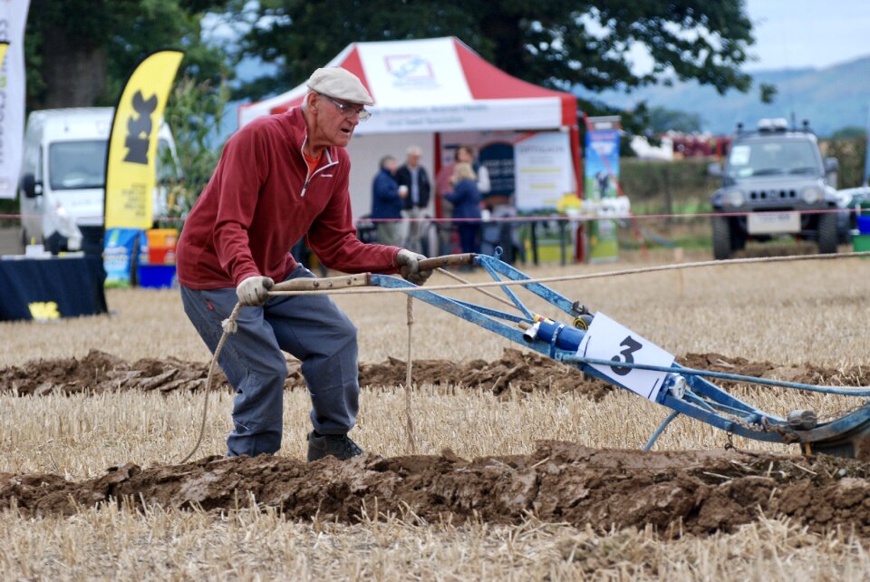 Man ploughing horses