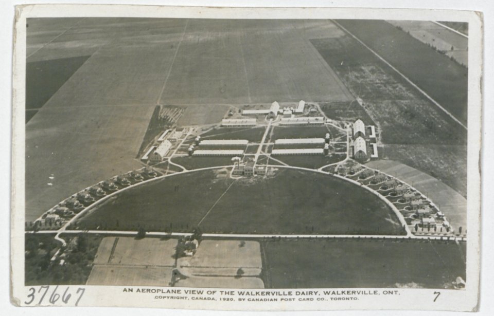 Walkerville Dairy from an Aeroplane (HS85-10-37667) original photo