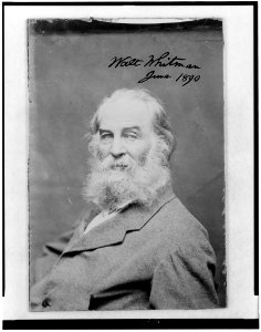 Walt Whitman as an old man, half-length portrait, seated to the left, facing front LCCN96502480