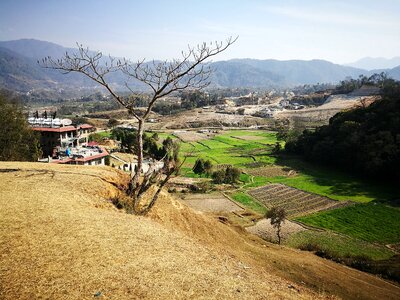 Sunny day ground