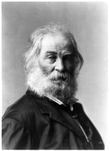 Walt Whitman, 1819-1892 LCCN2002710171