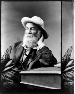 Walt Whitman, 1819-1892 LCCN2002710175