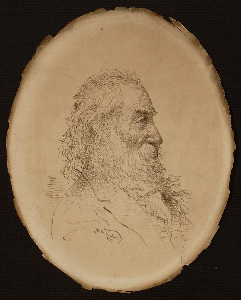 Walt Whitman, head-and-shoulders portrait, right profile) - G.W. Waters LCCN2005677244