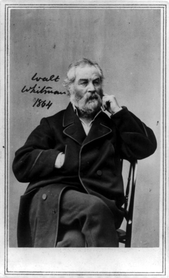 Walt Whitman, three-quarter length portrait, seated, facing slightly right, wearing heavy coat with right hand in pocket, left hand at cheek LCCN00651462