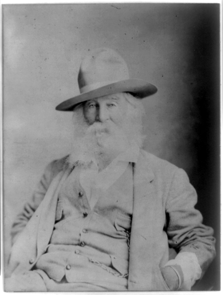 Walt Whitman, half-length portrait, seated, facing left, wearing hat, hands in coat pockets LCCN96509390
