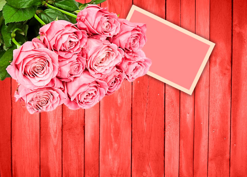 Romantic roses background wood