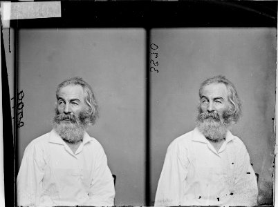 Walt Whitman - NARA - 528037