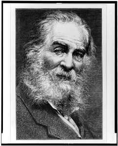 Walt Whitman as an old man, head-and-shoulders portrait, facing right LCCN96502206