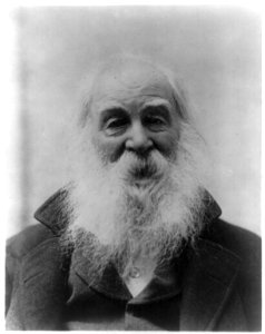 Walt Whitman, 1819-1892 LCCN2002710173