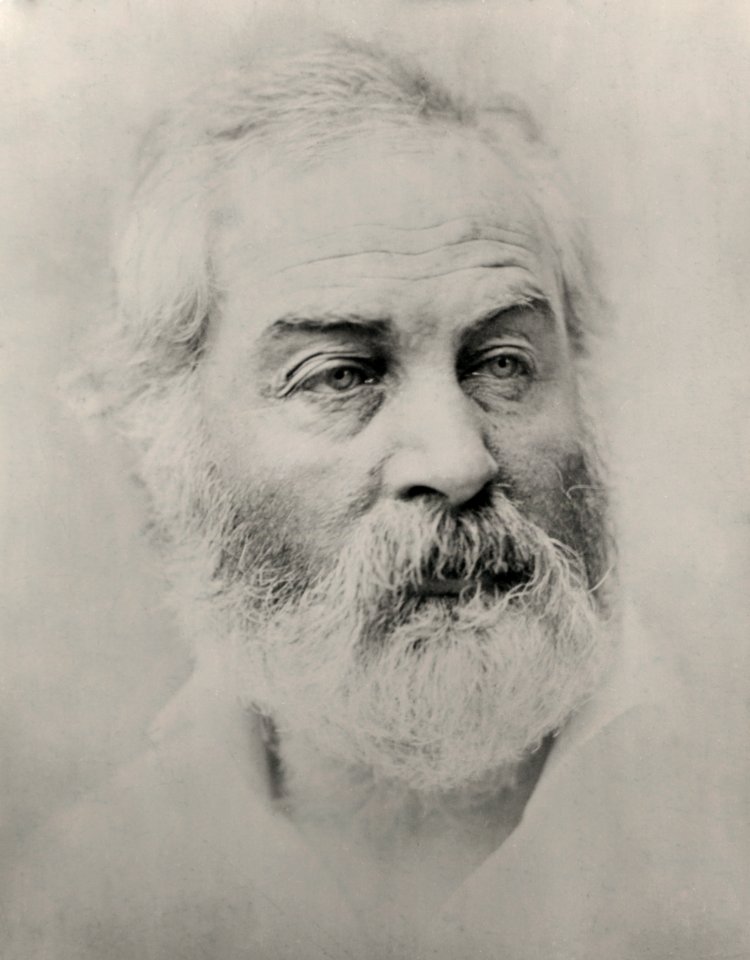 Walt Whitman by Alexander Gardner, 1863