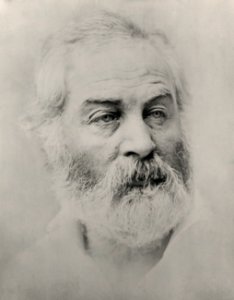 Walt Whitman by Alexander Gardner, 1863