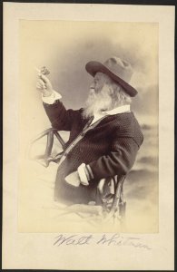 Walt Whitman, half-length portrait, seated, facing left, wearing hat and sweater, holding butterfly LCCN00650591