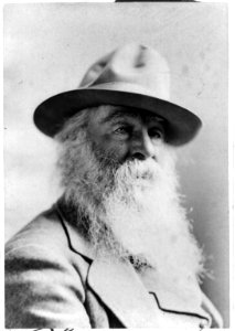 Walt Whitman, 1819-1892 LCCN2002710170