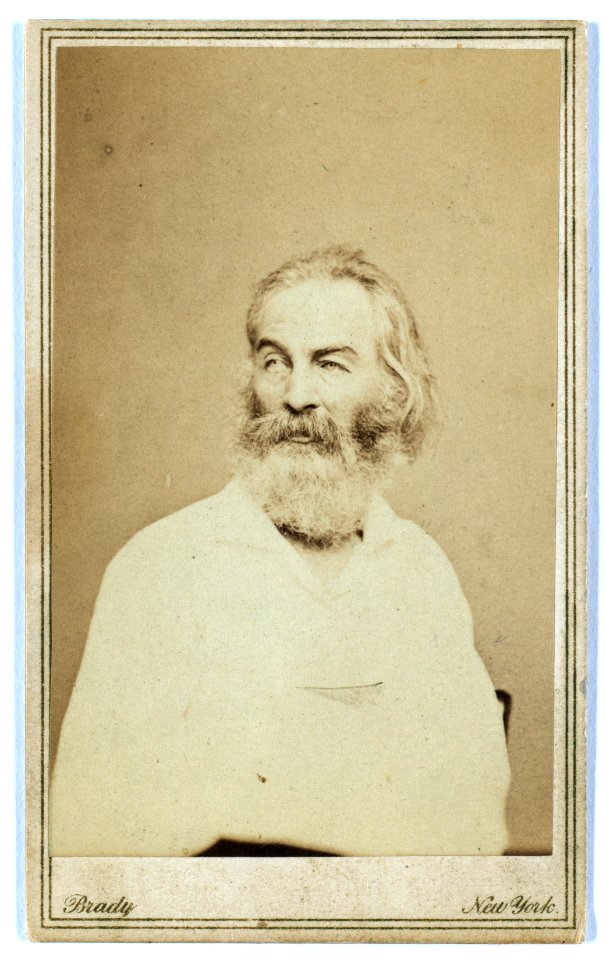 Walt Whitman, half-length portrait, seated in chair, facing left) - Brady, New York LCCN99406018
