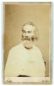 Walt Whitman, half-length portrait, seated in chair, facing left) - Brady, New York LCCN99406018