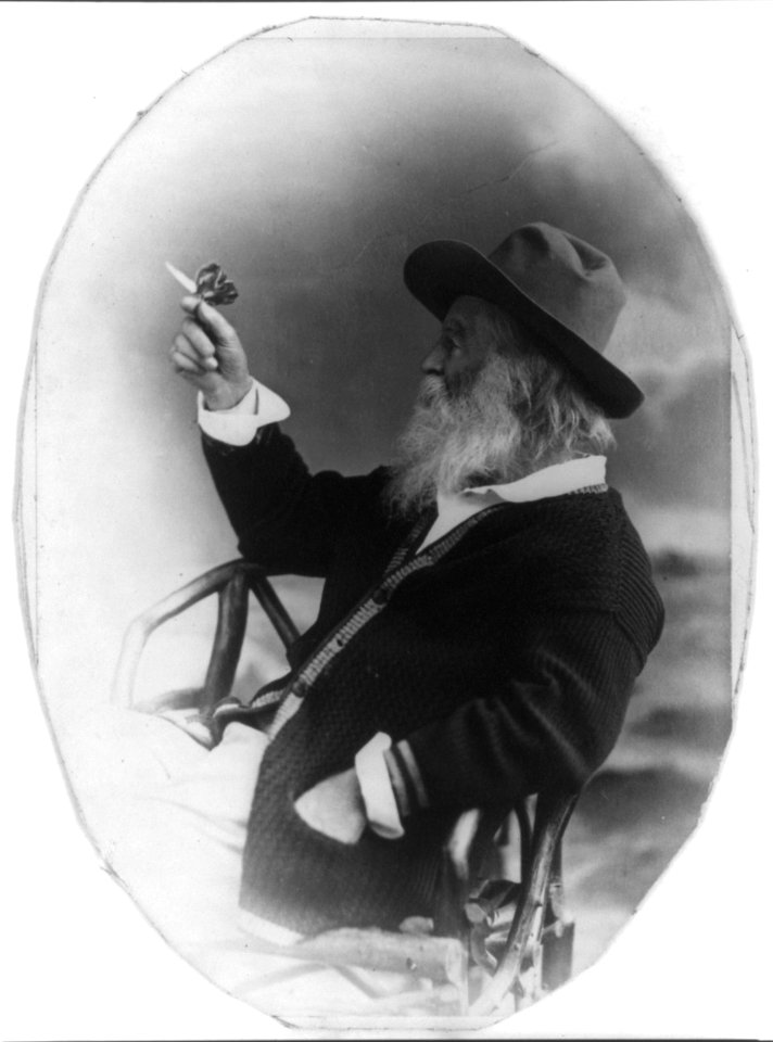 Walt Whitman, half-length portrait, seated, facing left, wearing hat and sweater, holding butterfly LCCN00650592