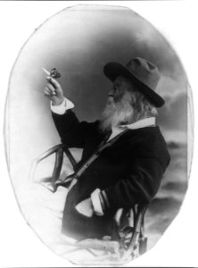 Walt Whitman, half-length portrait, seated, facing left, wearing hat and sweater, holding butterfly LCCN00650592