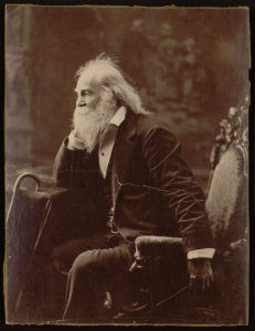 Walt Whitman, three-quarter-length portrait, seated, facing left with elbow and nearby cane resting on a table LCCN2005677459