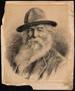 Walt Whitman, head-and-shoulders portrait - V. Gribayédoff