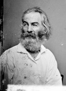 Walt Whitman - Brady-Handy photo