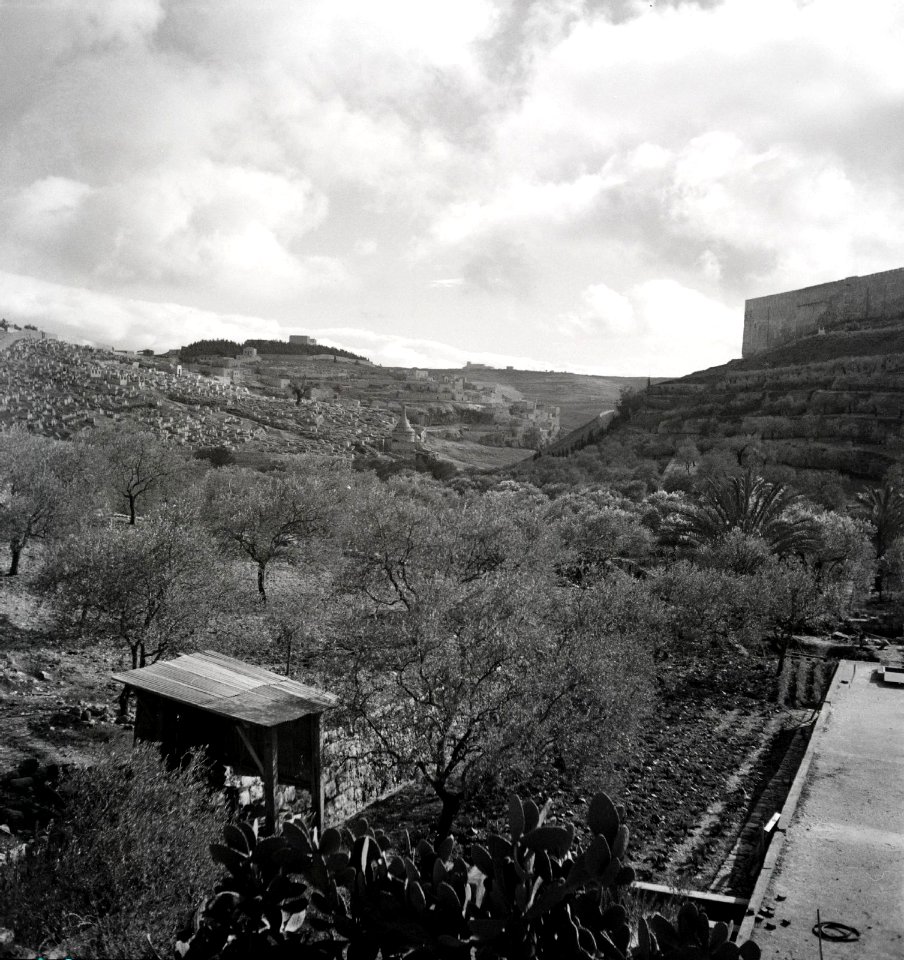 Walter Mittelholzer. Oelberg.Jerusalem. 1934 (z eth 0253038)