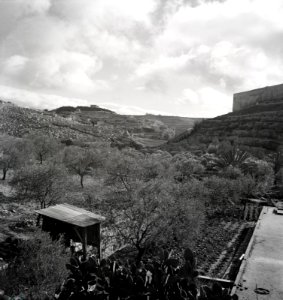 Walter Mittelholzer. Oelberg.Jerusalem. 1934 (z eth 0253038)