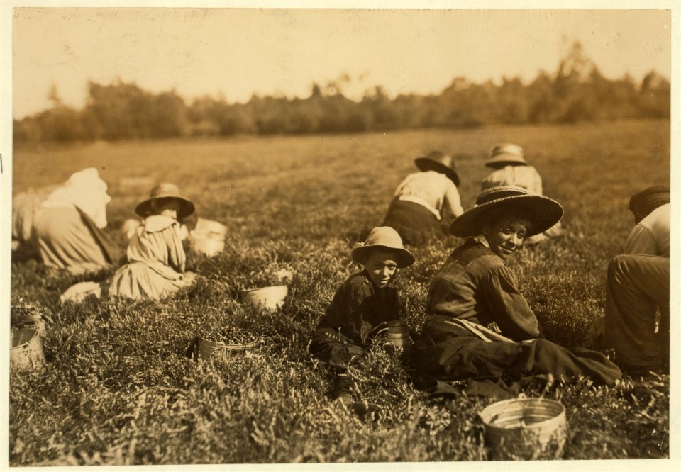 Walter Silva. Said 10 years old. Picks 3 or 4 pails a day. LOC nclc.00136