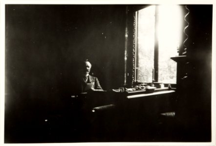 Walther von Hallwyl i sitt skrivrum, Ljusne - Hallwylska museet - 107995 photo