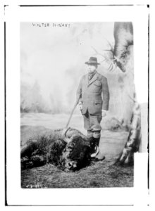 Walter Winans with gun and dead buffalo LCCN2014694839