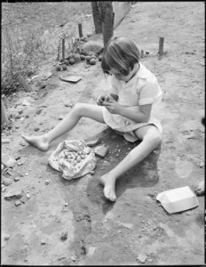 Wanda Lee Sergent cracking nuts which her brother had brought in from the woods. P V & K Coal Company, Clover Gap... - NARA - 541316